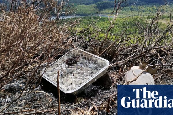 Children injured, wildlife slaughtered, forests ravaged: is it time to ban disposable barbecues? | Barbecue