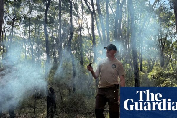 ‘This is not a wellness retreat’: four days on an Australian wilderness survival course | Australia holidays