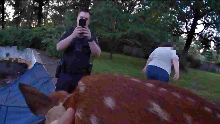 This baby deer rescue is the cutest thing you will watch today!Animalkind