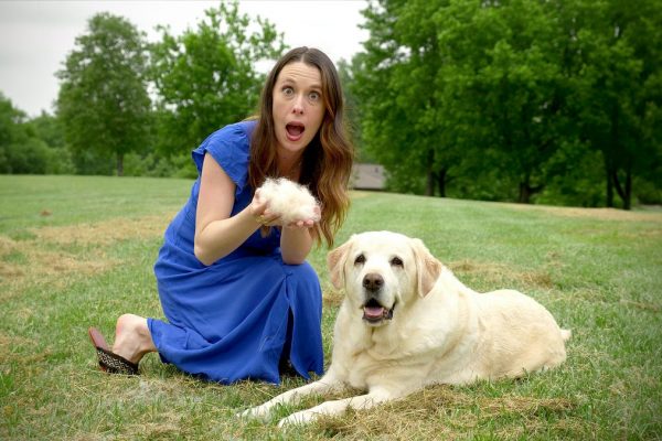 Unusual ways to get rid of dog fur
