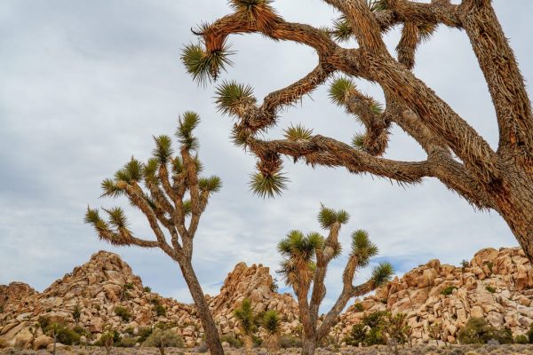 13 breathtaking views in the Western US